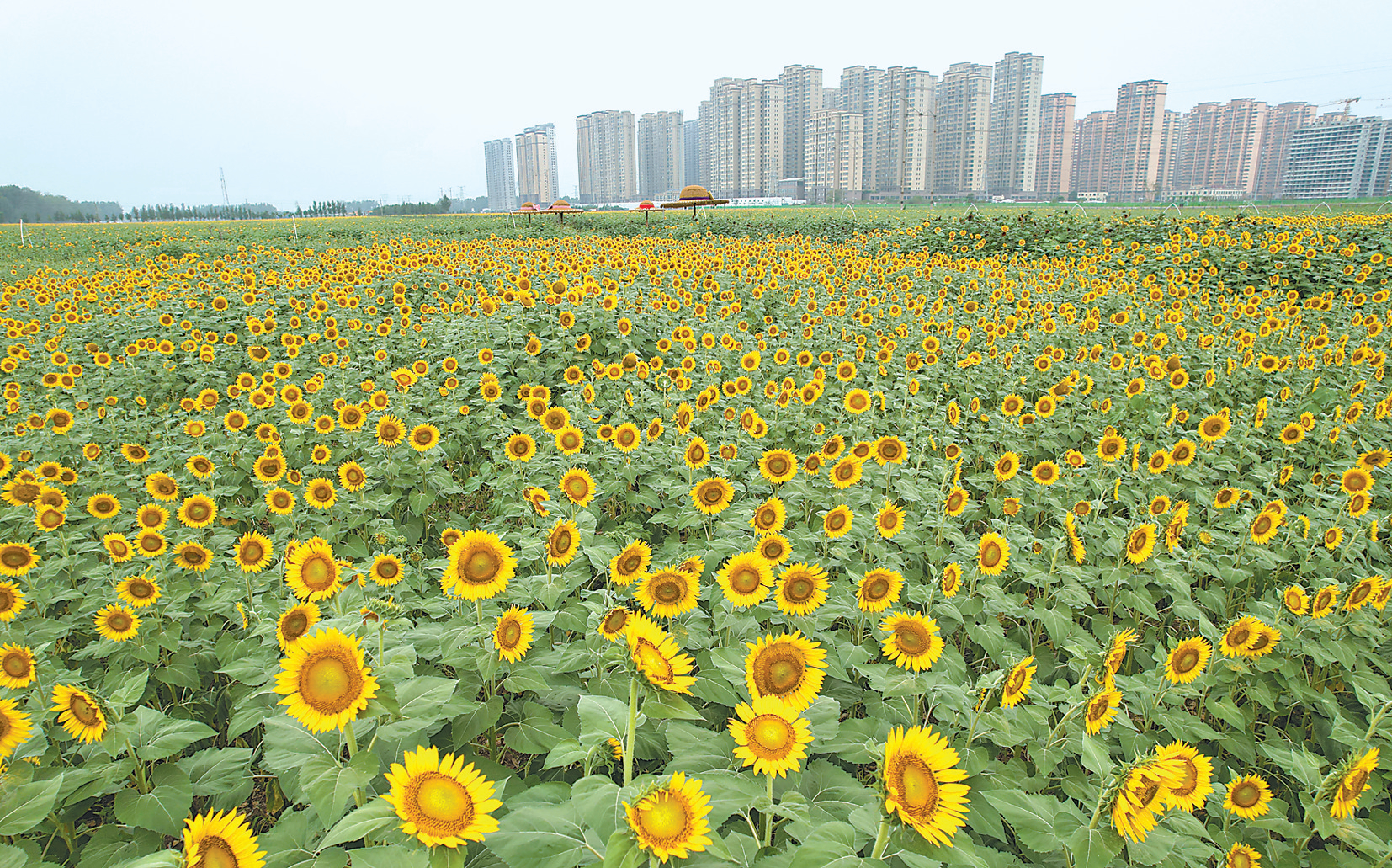 图片新闻