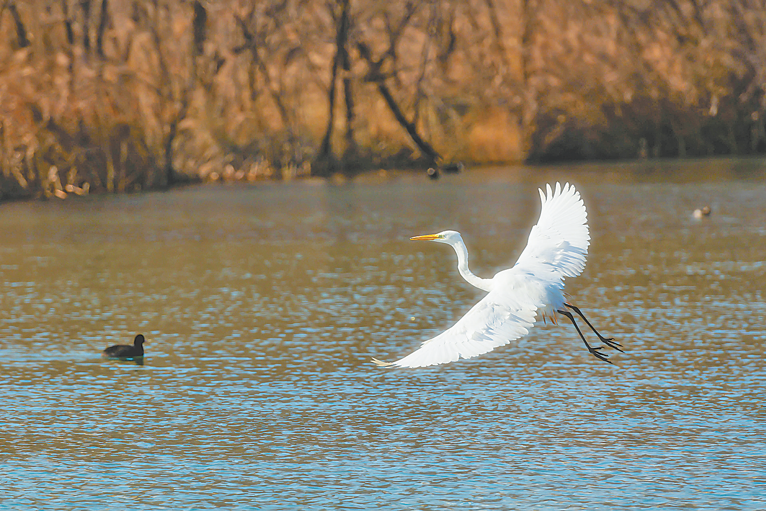 图片新闻 图片新闻