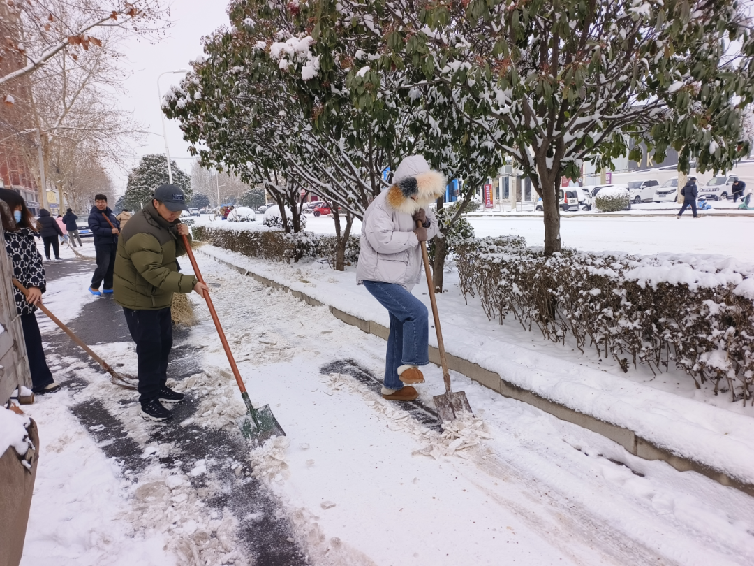 市生态环境系统开展扫雪除冰志愿服务活动