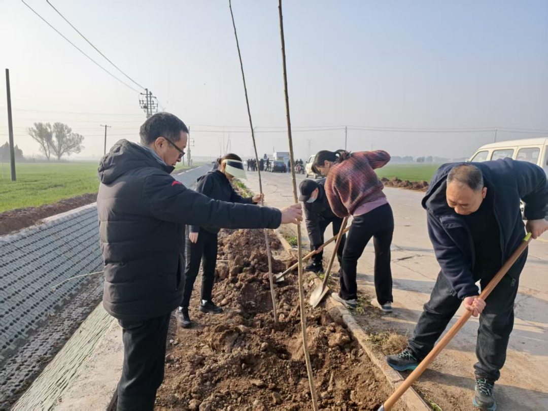 市生态环境系统开展义务植树活动 市生态环境系统开展义务植树活动