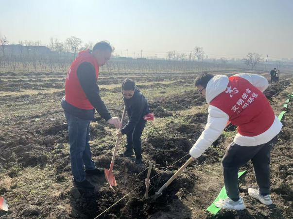 市生态环境系统开展义务植树活动 市生态环境系统开展义务植树活动