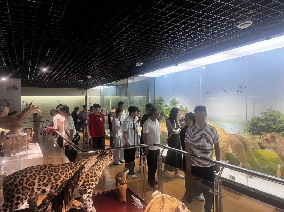 我市开展国际生物多样性日主题宣传活动 我市开展国际生物多样性日主题宣传活动