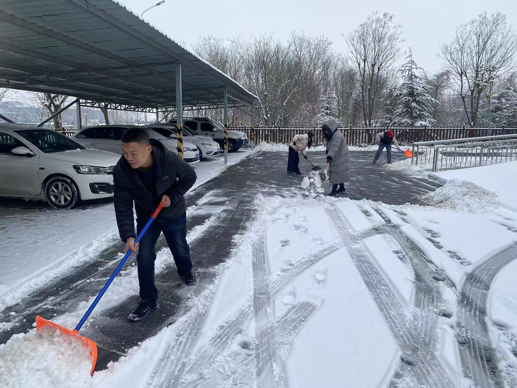 雪情就是命令 保障畅通先行——焦作市交通事业技术中心干部职工20日齐心铲雪保畅通