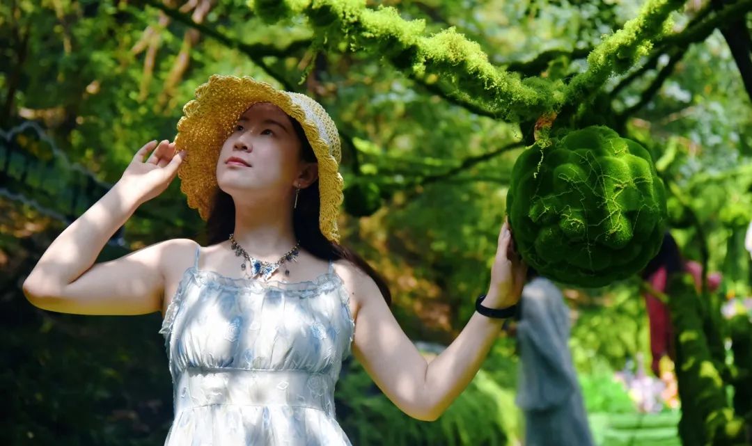 绿野仙踪+汉服小姐姐！神农山献上“夏日么么茶”！