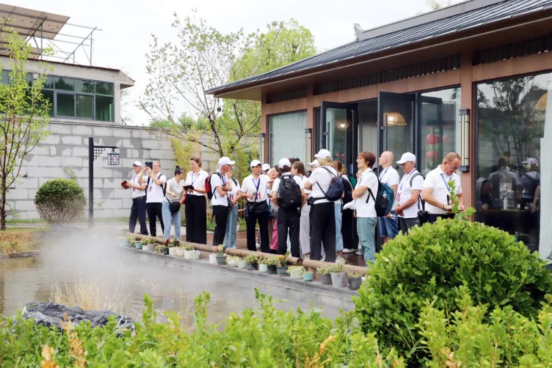 风头正劲！太极文化国际传播！