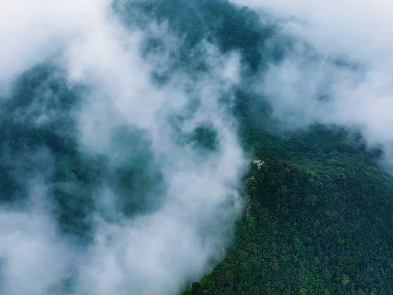 秋天的第一场云海,就来神农山!