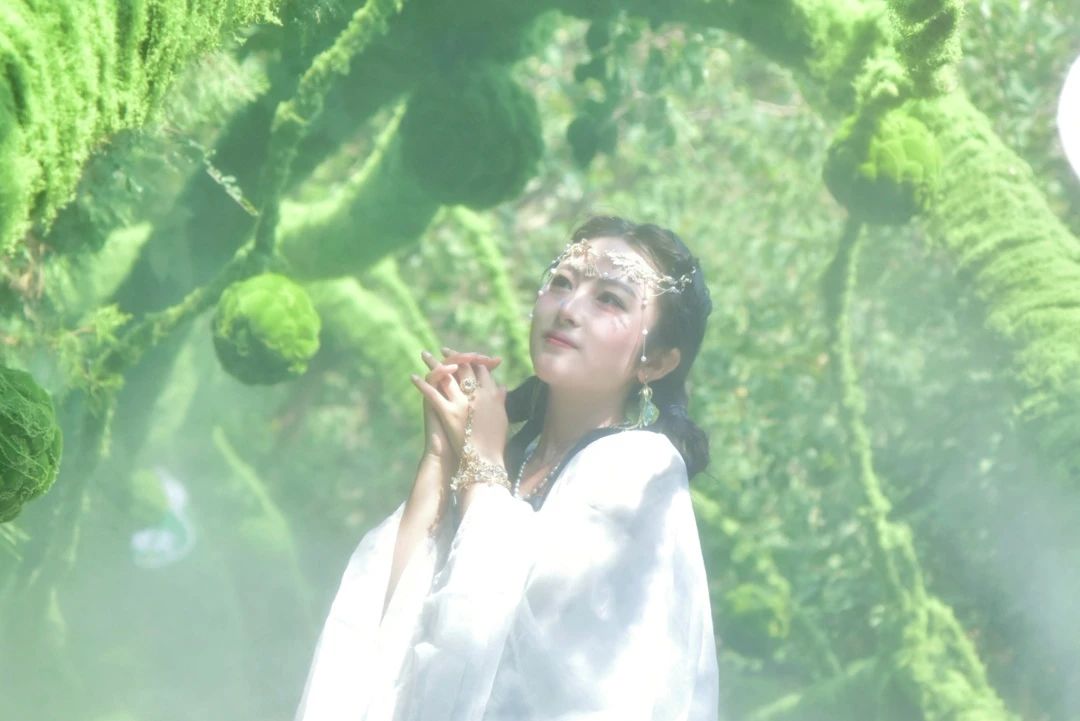 秋天的第一场云海,就来神农山!