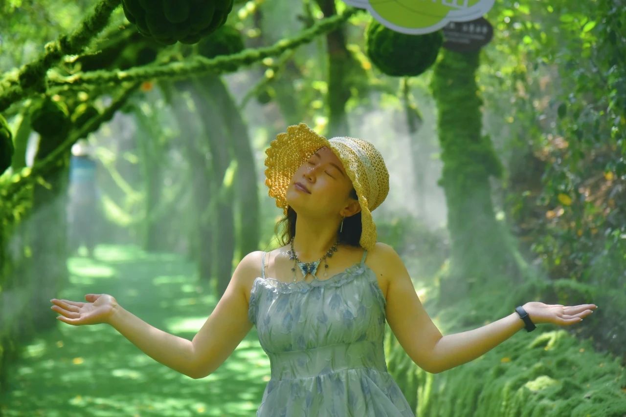 秋天的第一场云海,就来神农山! 秋天的第一场云海,就来神农山!