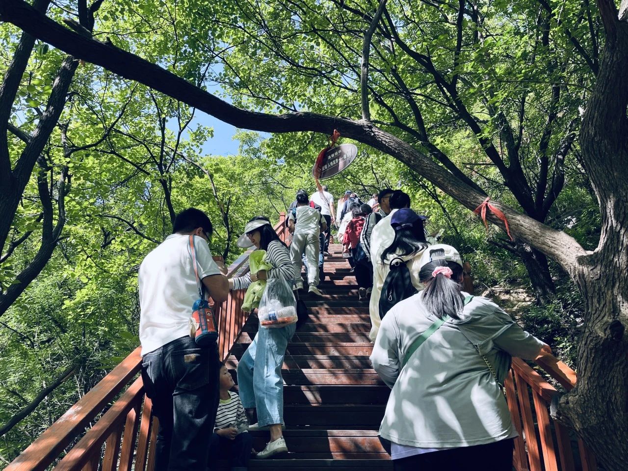 秋天的第一场云海,就来神农山! 秋天的第一场云海,就来神农山!