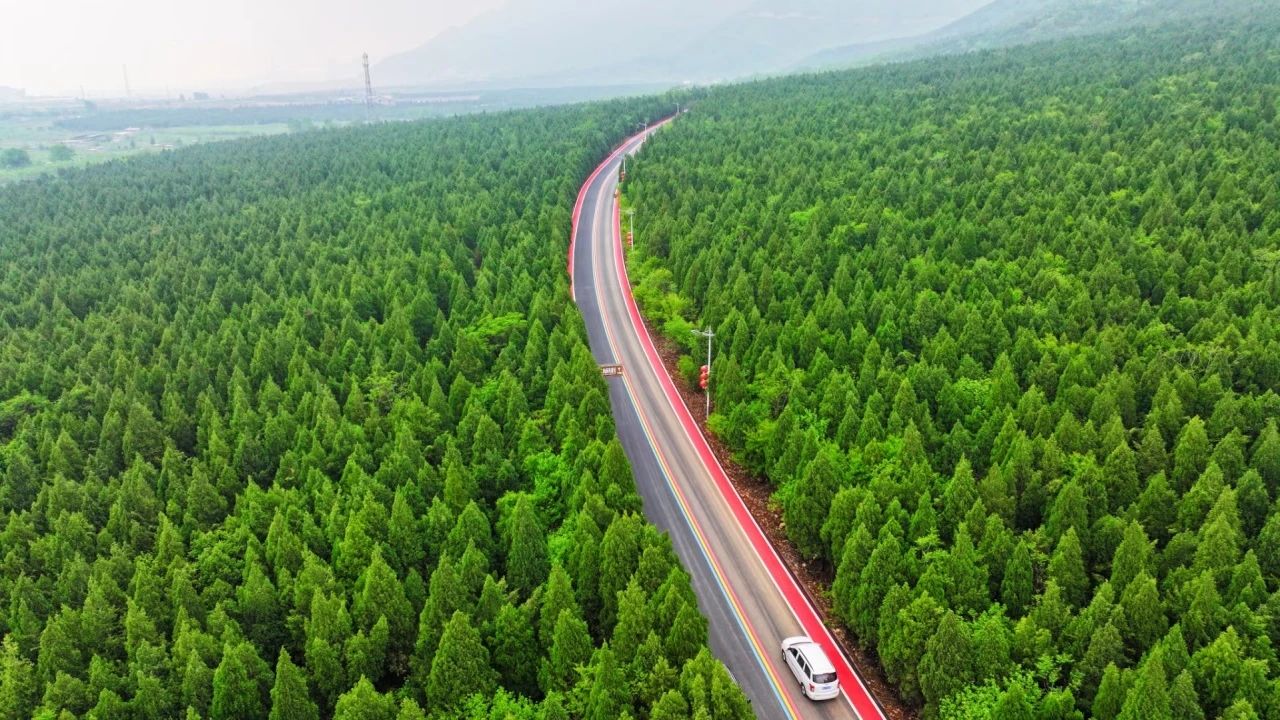 秋天的第一场云海,就来神农山!