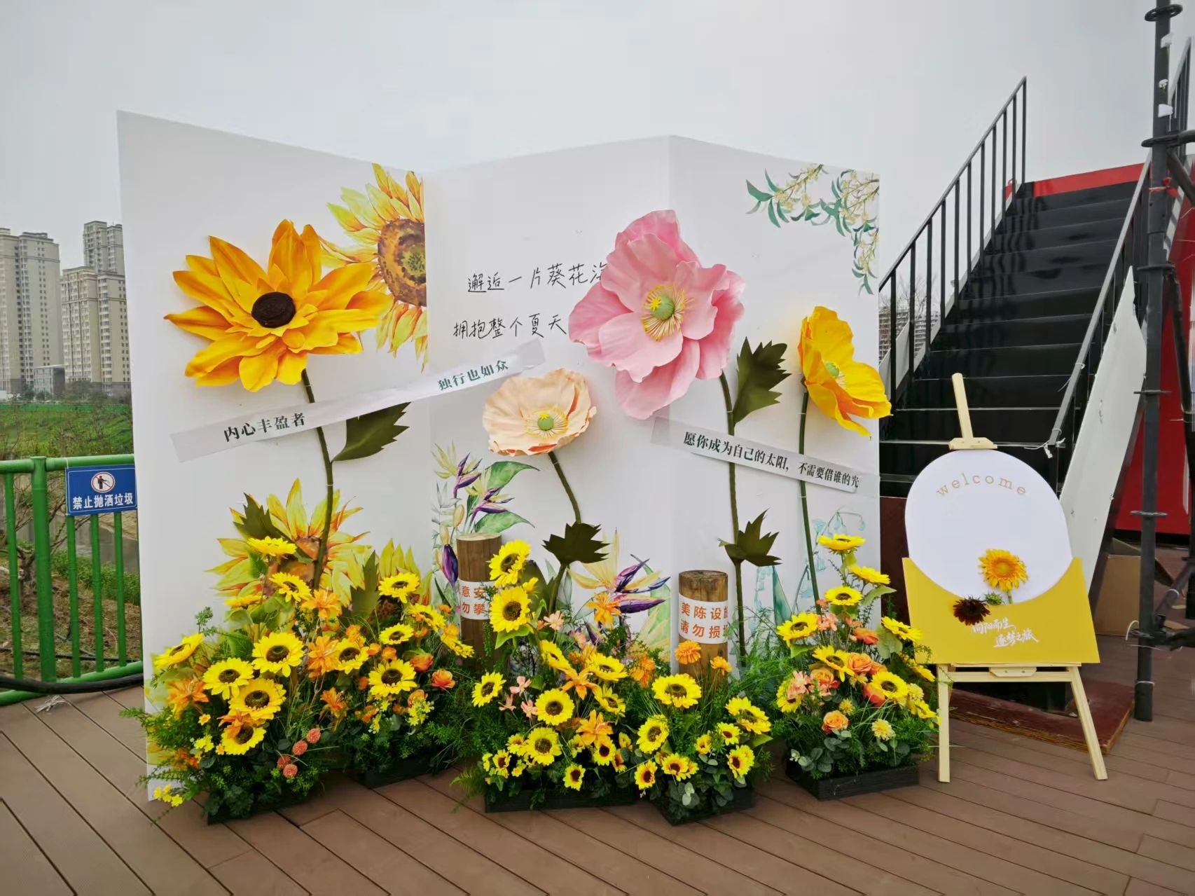 超出片！焦作这场向日葵之约，等你来！