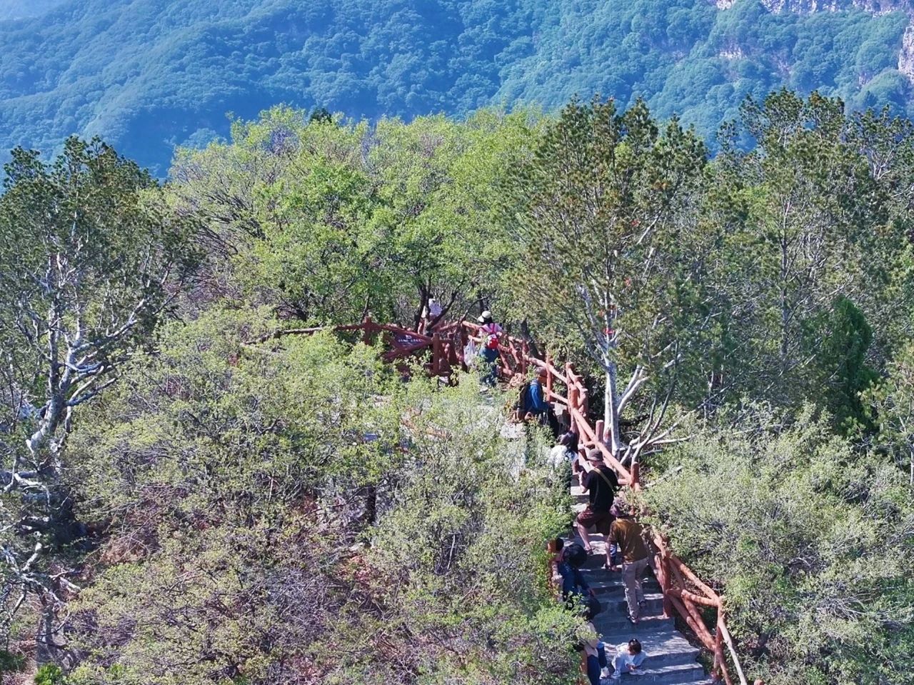 全国罕见奇观，竟在神农山！