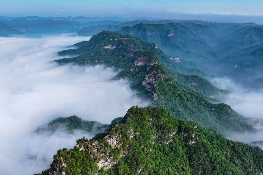 全国罕见奇观，竟在神农山！
