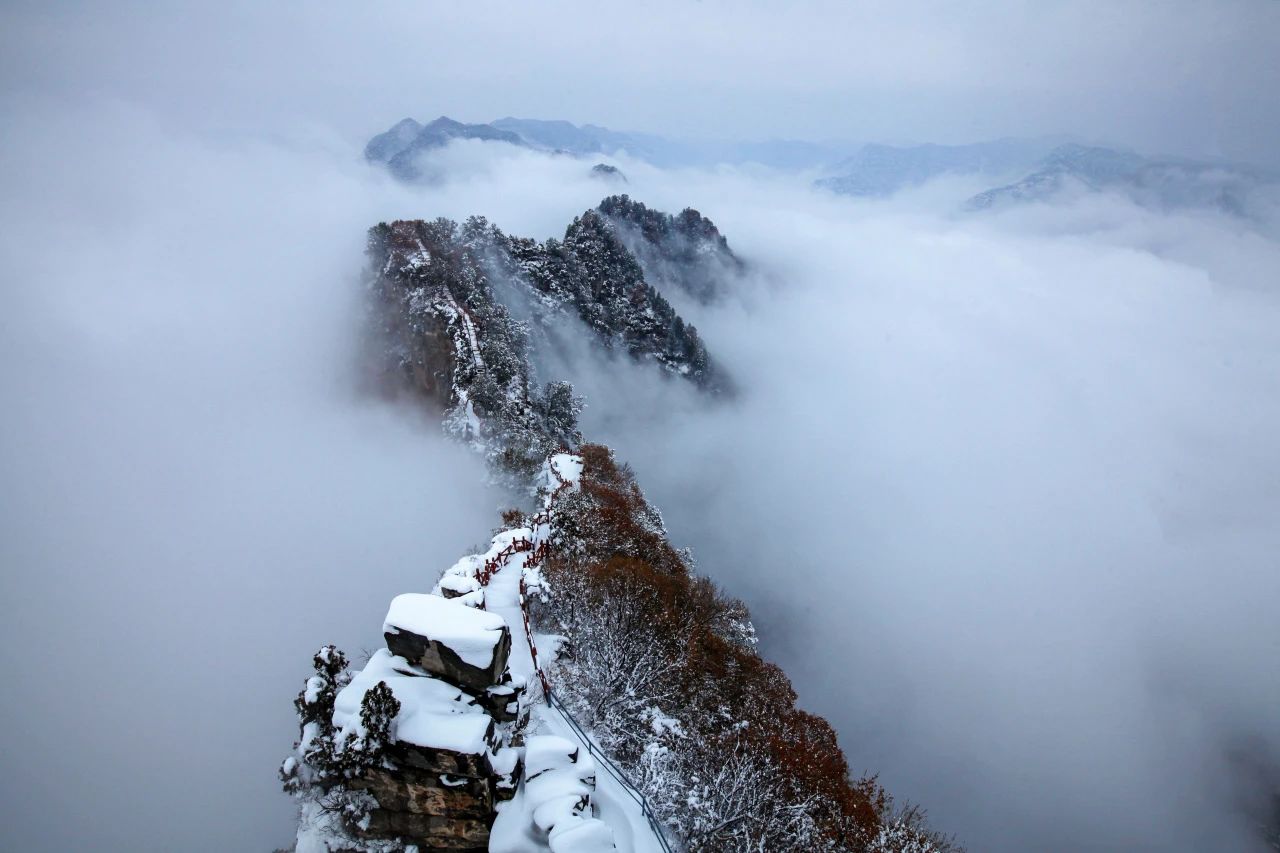 全国罕见奇观，竟在神农山！