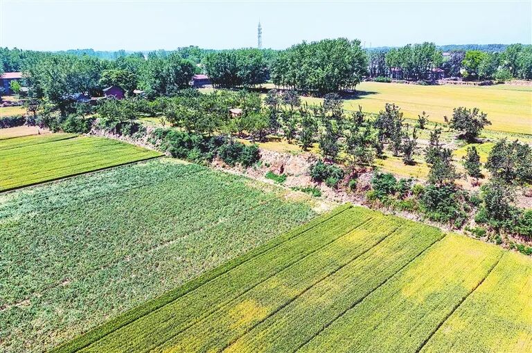 嘉应观荣登河南宝藏名单！