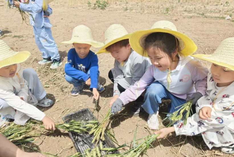 “双节”去嗨！大沙河有个音乐节！