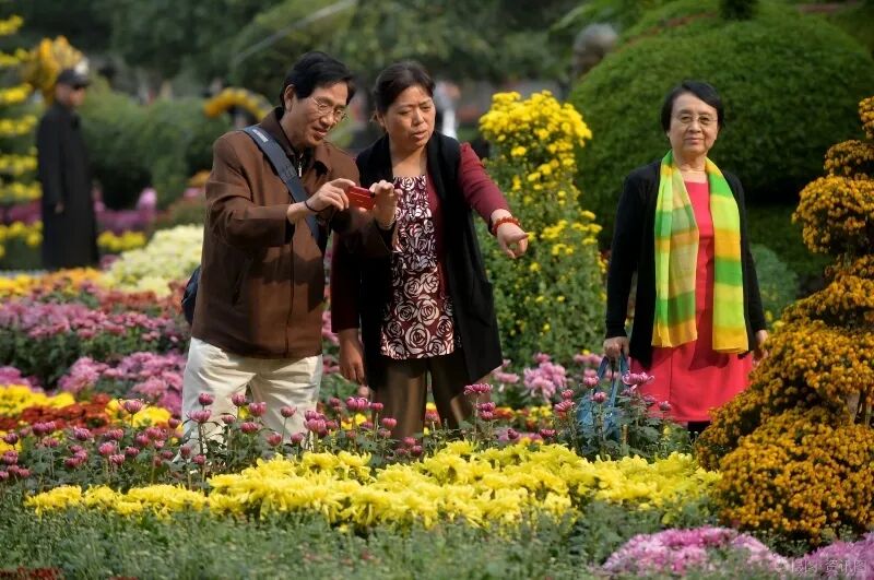“双节”去嗨！大沙河有个音乐节！