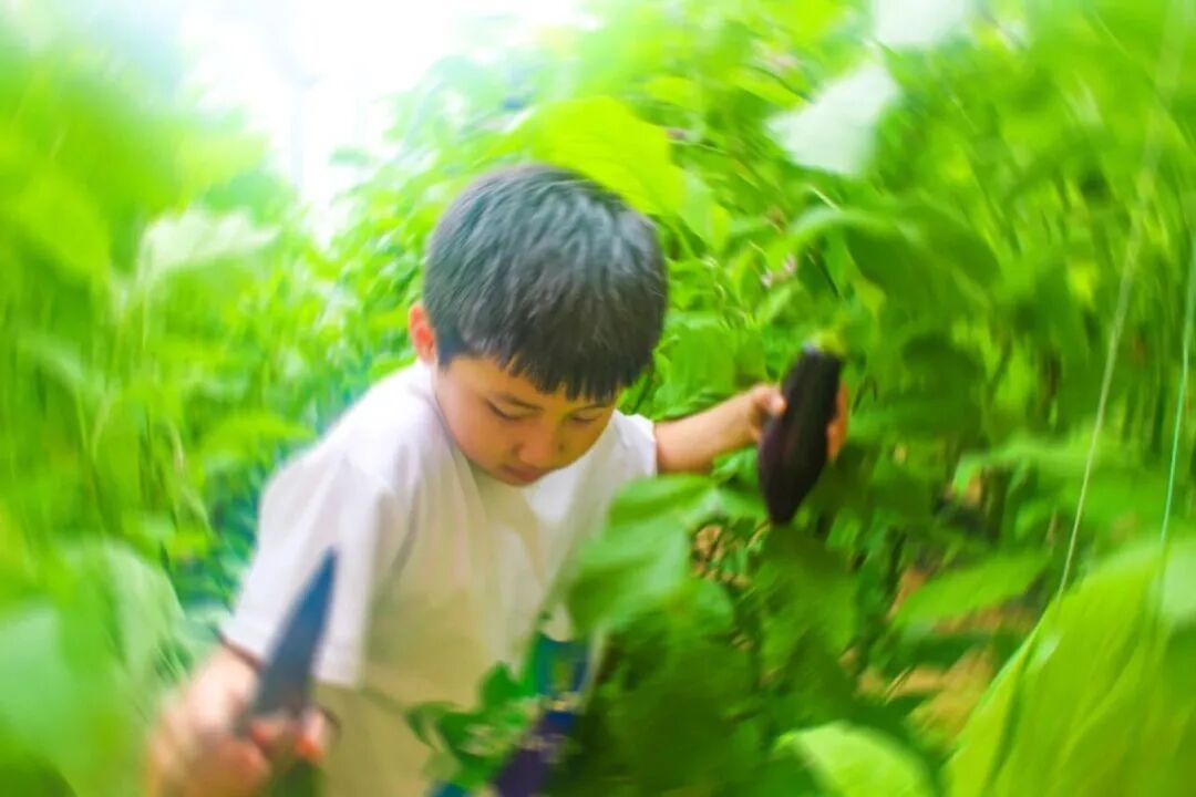 “双节”去嗨！大沙河有个音乐节！