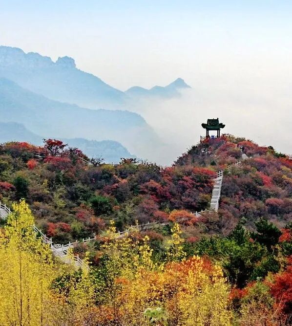 打翻的调色盘！来青龙峡拥抱秋日浪漫！