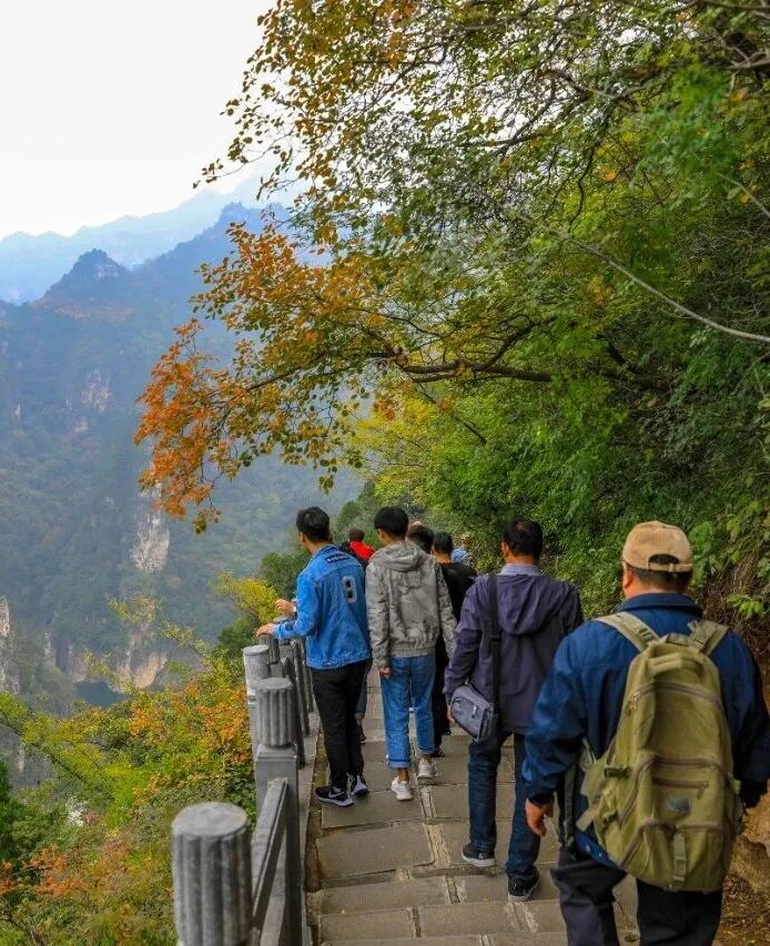 打翻的调色盘！来青龙峡拥抱秋日浪漫！