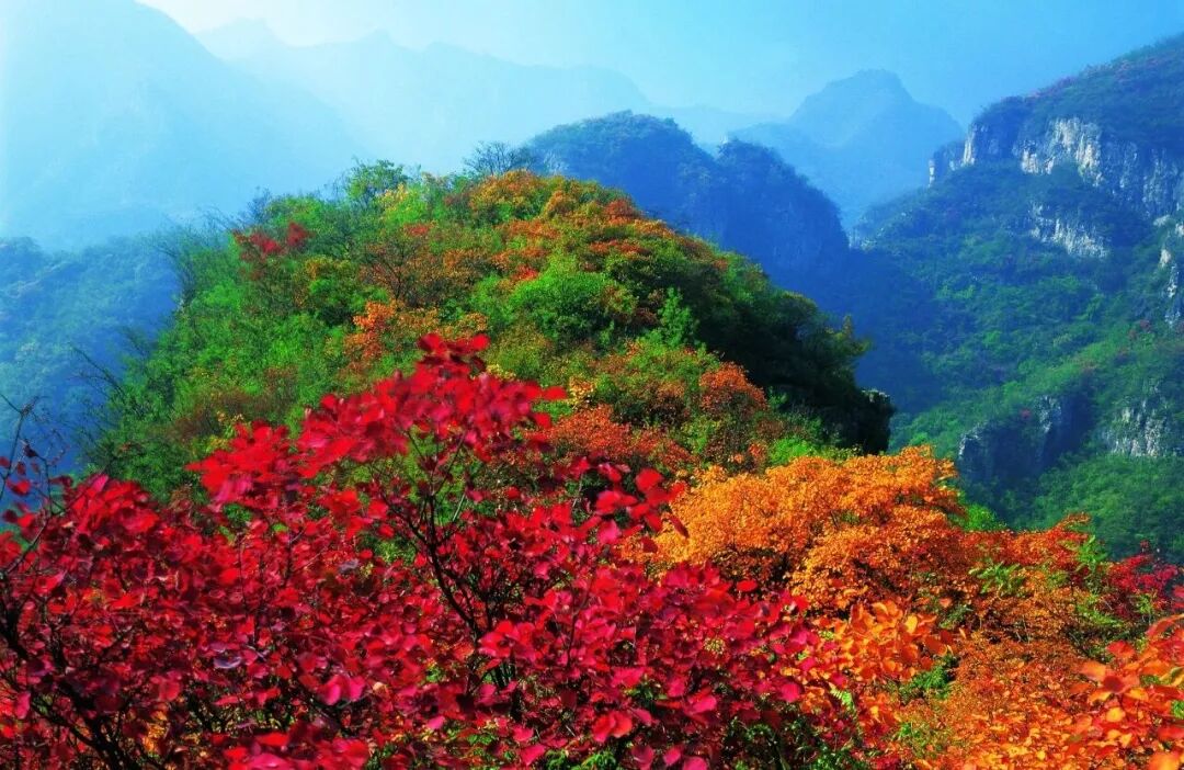 打翻的调色盘！来青龙峡拥抱秋日浪漫！