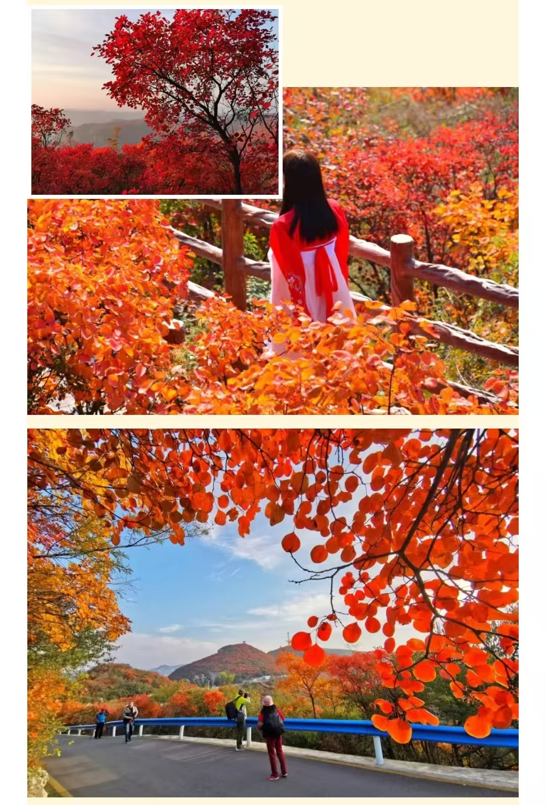 周末来这里!登秋山、赏万亩红叶、尝地道小吃! 周末来这里!登秋山、赏万亩红叶、尝地道小吃!
