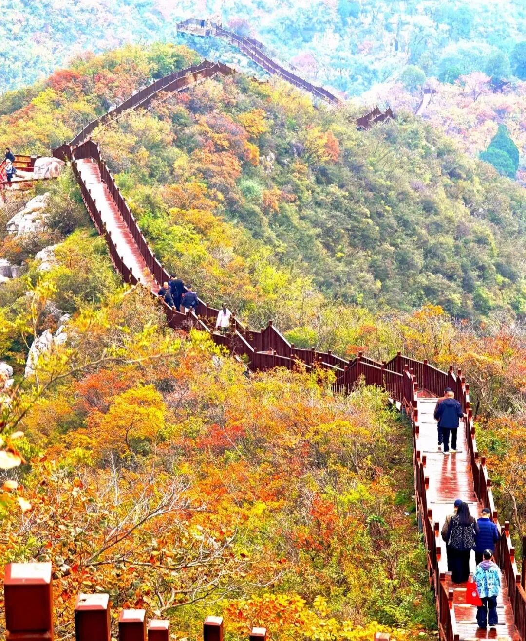金秋赵庄很“出圈”! 金秋赵庄很“出圈”!