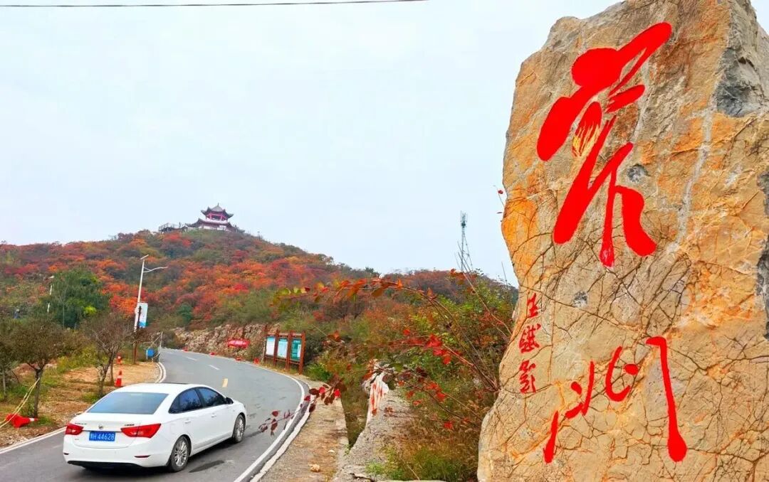 金秋赵庄很“出圈”! 金秋赵庄很“出圈”!