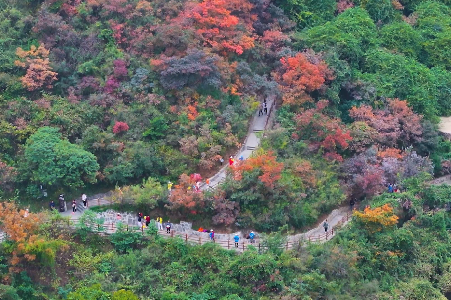 神农山重阳节优惠5天！60岁以上免门票、免往返索道，陪同人员免门票！
