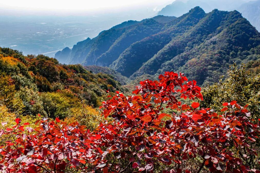 神农山重阳节优惠5天！60岁以上免门票、免往返索道，陪同人员免门票！