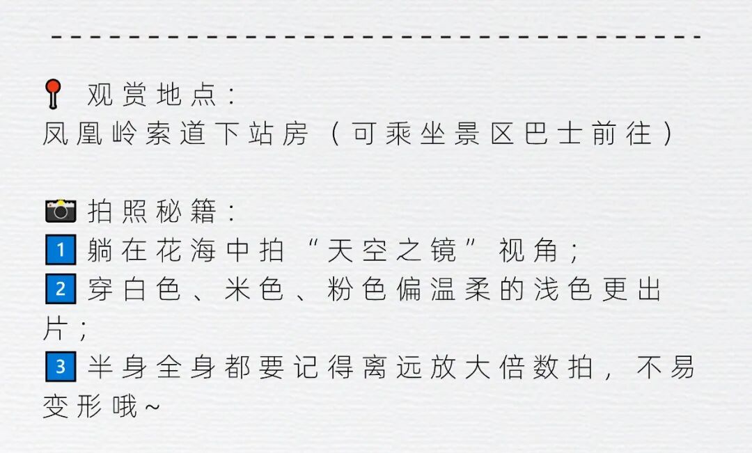 云台山变成粉色的了！超温柔！