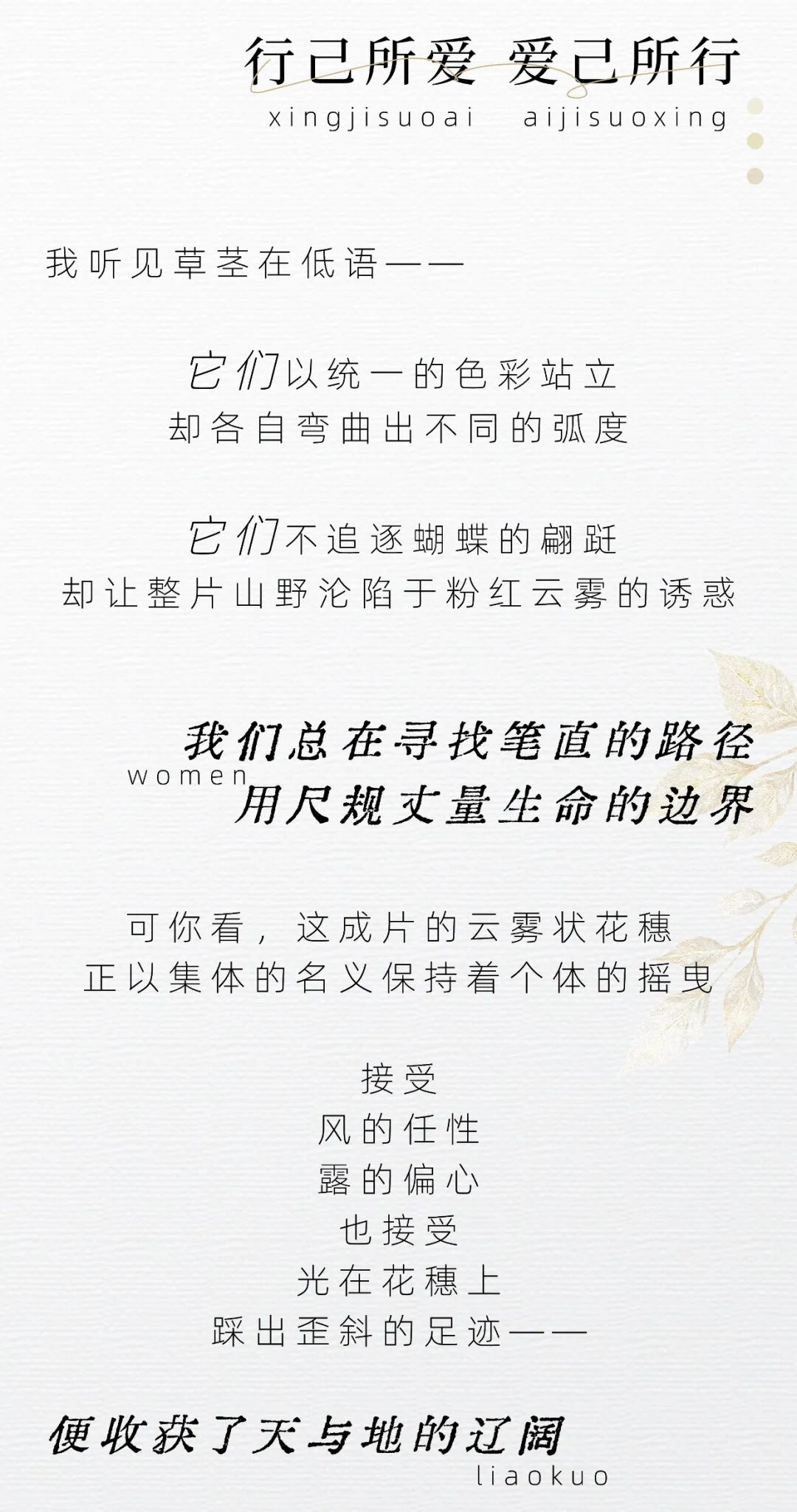 云台山变成粉色的了！超温柔！