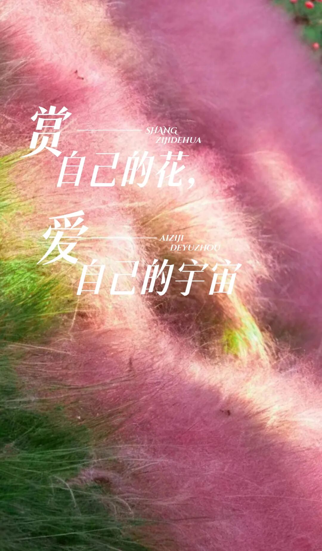 云台山变成粉色的了！超温柔！