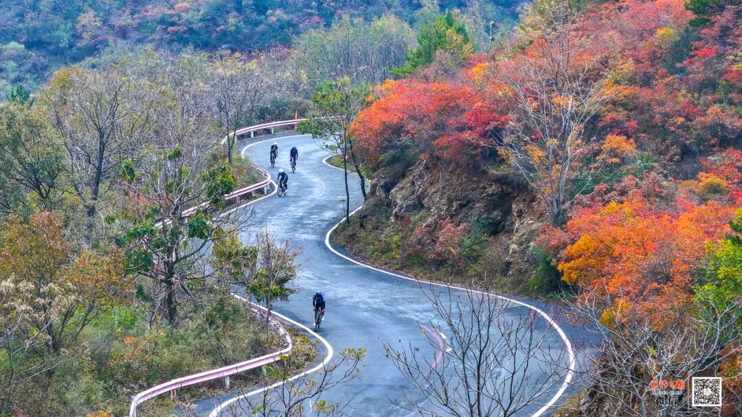 焦作：“红叶+”超融合，打造金秋文旅盛宴！