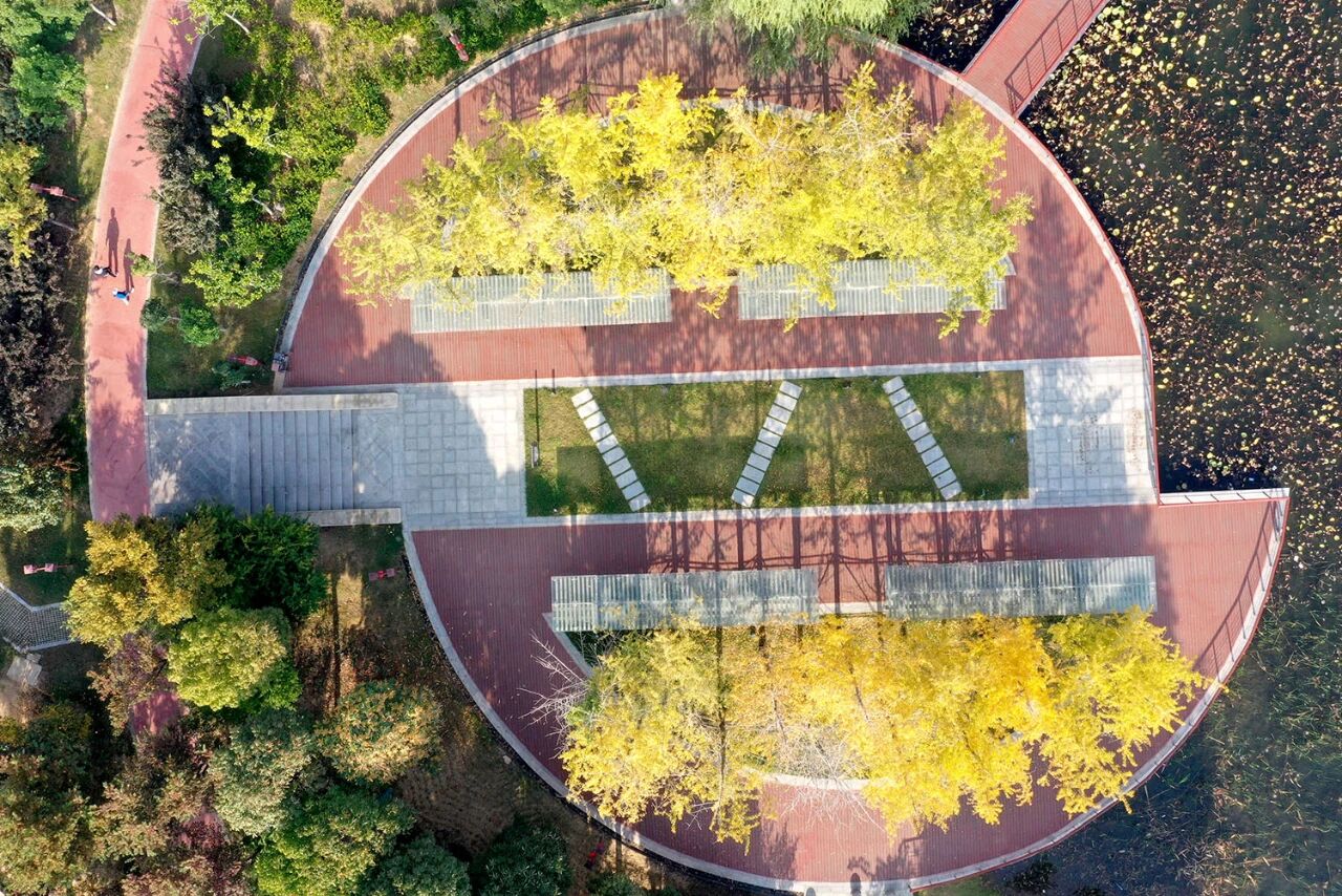 漫步温县河畔田野,秋意正浓!