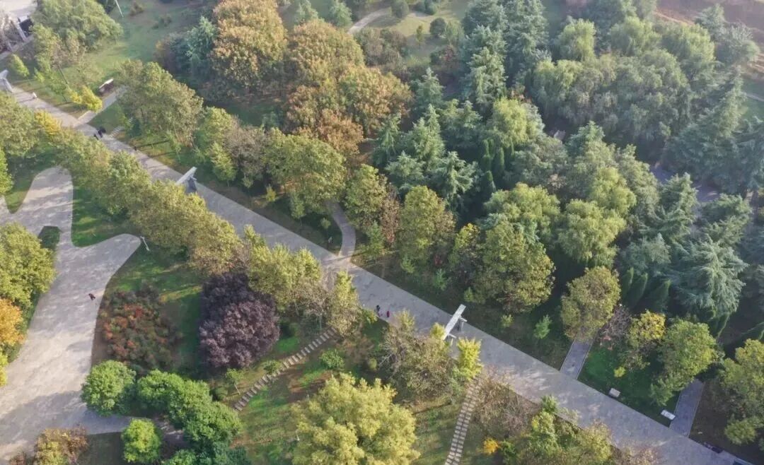 漫步温县河畔田野,秋意正浓!