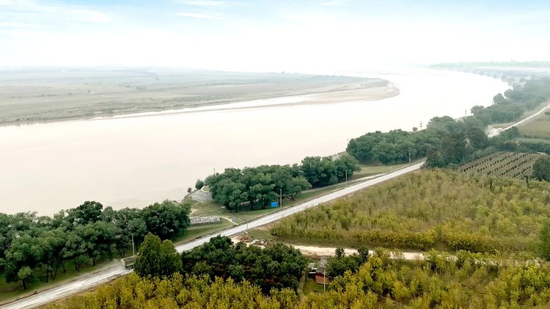 漫步温县河畔田野,秋意正浓!
