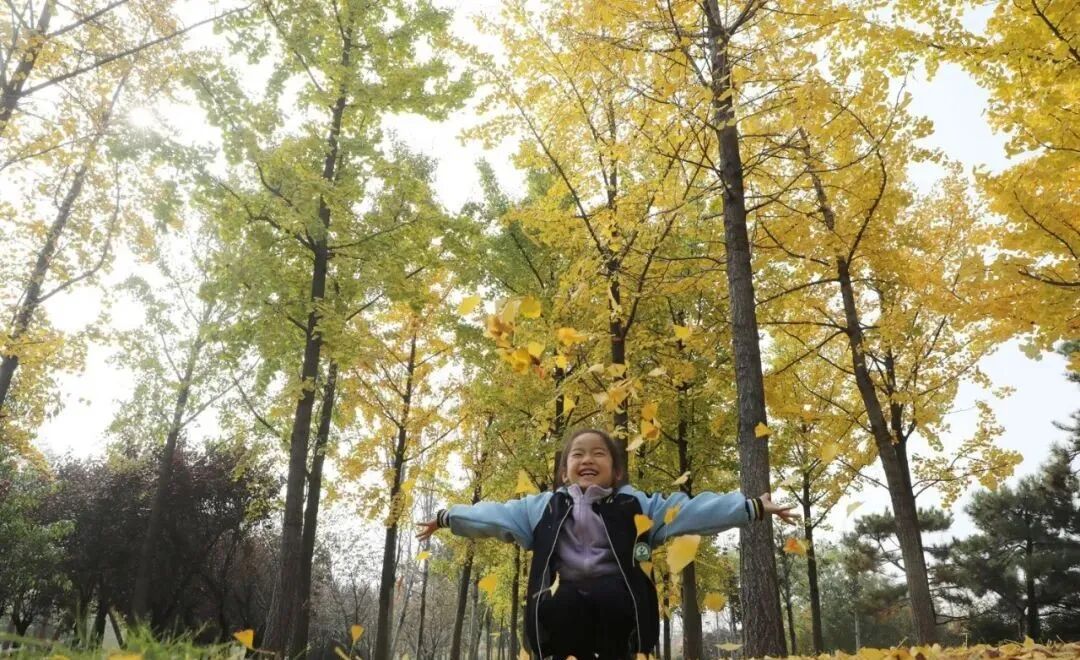 漫步温县河畔田野,秋意正浓!