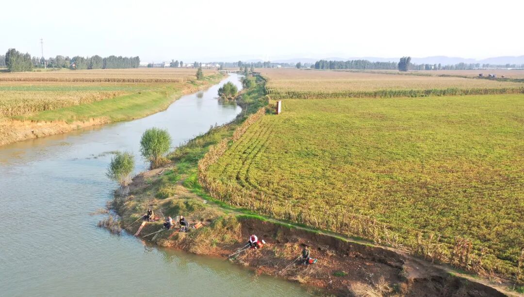 漫步温县河畔田野,秋意正浓!
