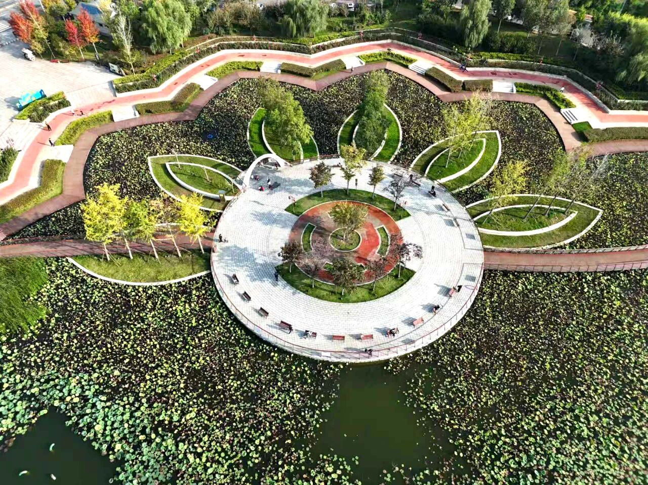 漫步温县河畔田野,秋意正浓!