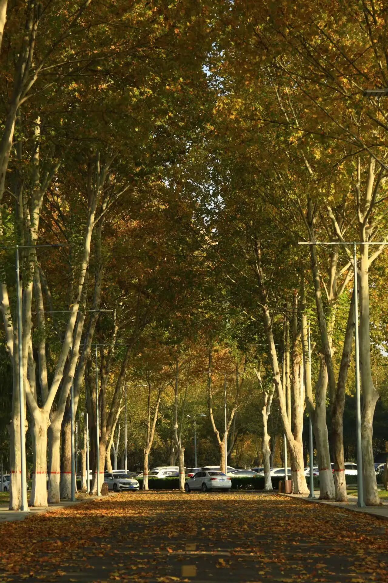 这里有张“挖金地图”,请查收!