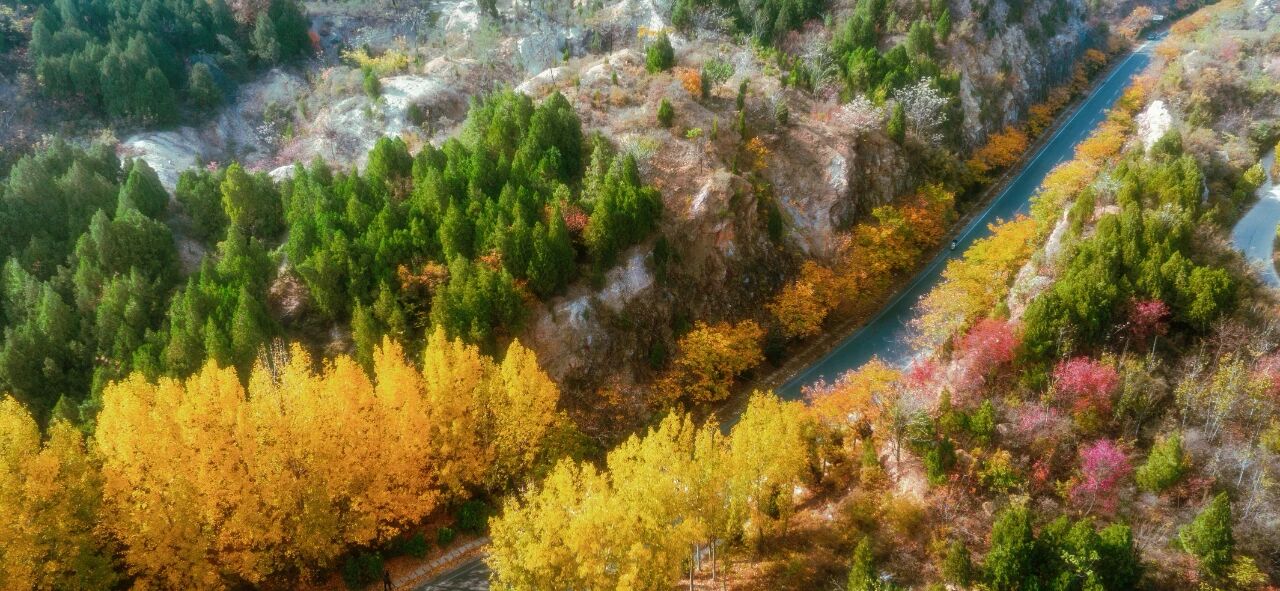 这里有张“挖金地图”,请查收! 这里有张“挖金地图”,请查收!