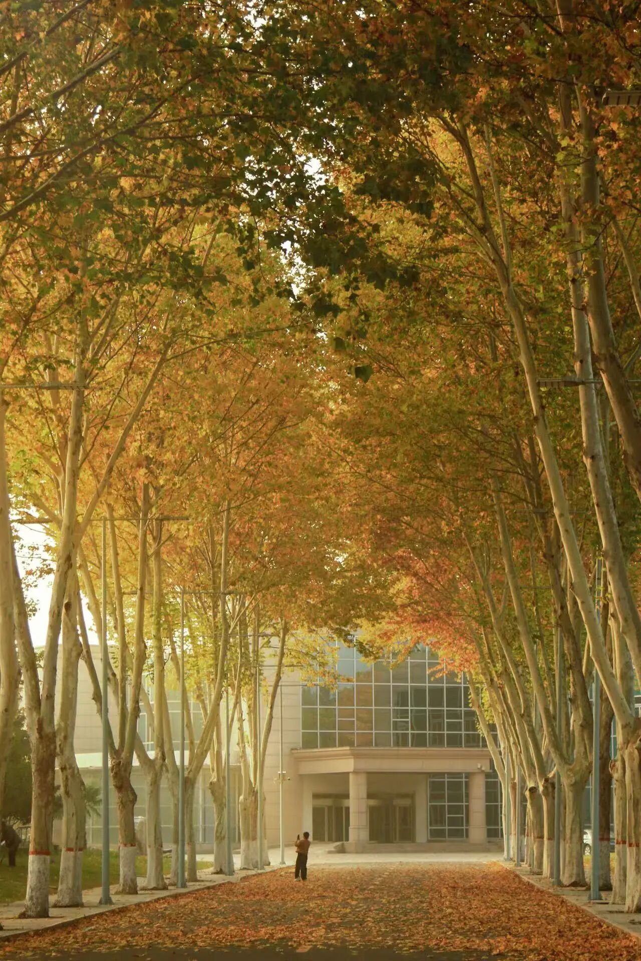 这里有张“挖金地图”,请查收!