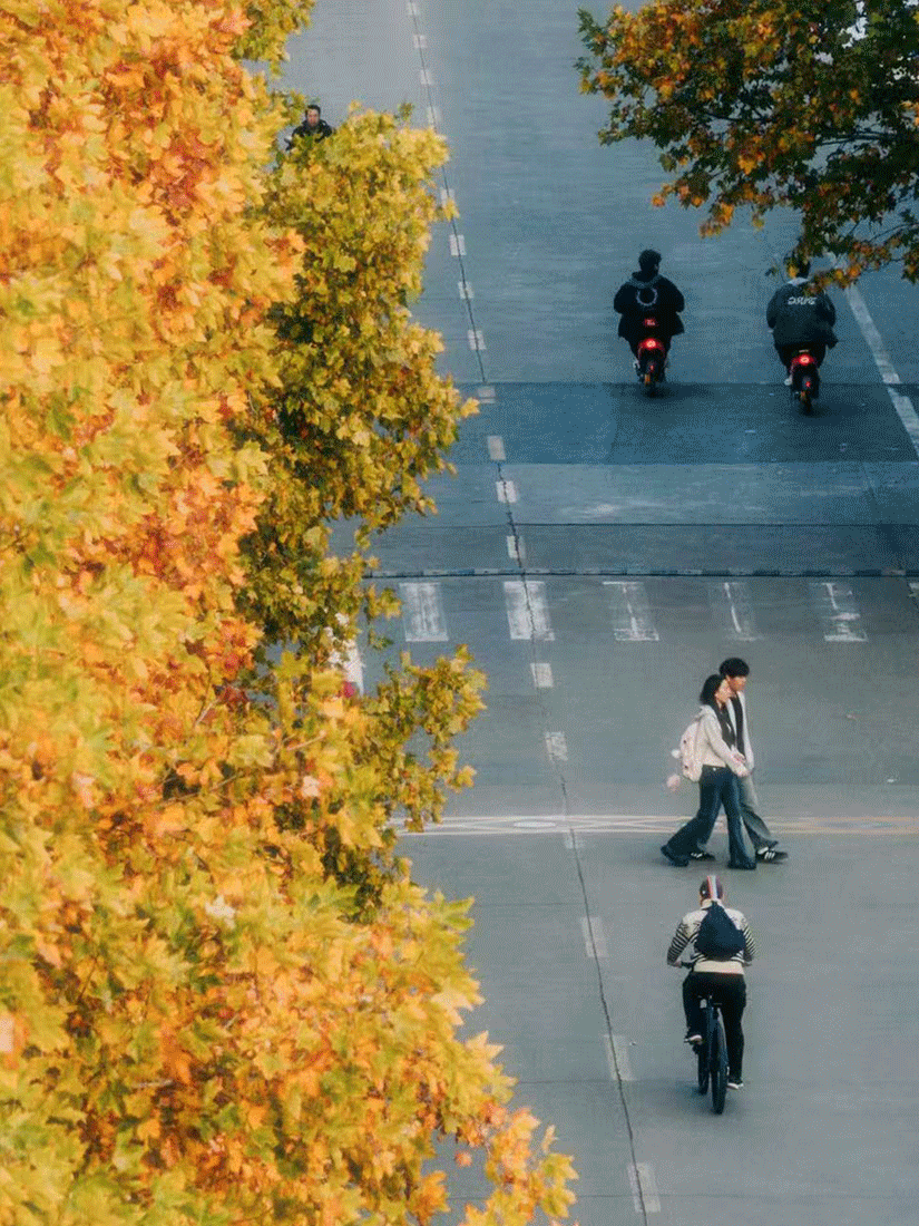 这里有张“挖金地图”,请查收! 这里有张“挖金地图”,请查收!