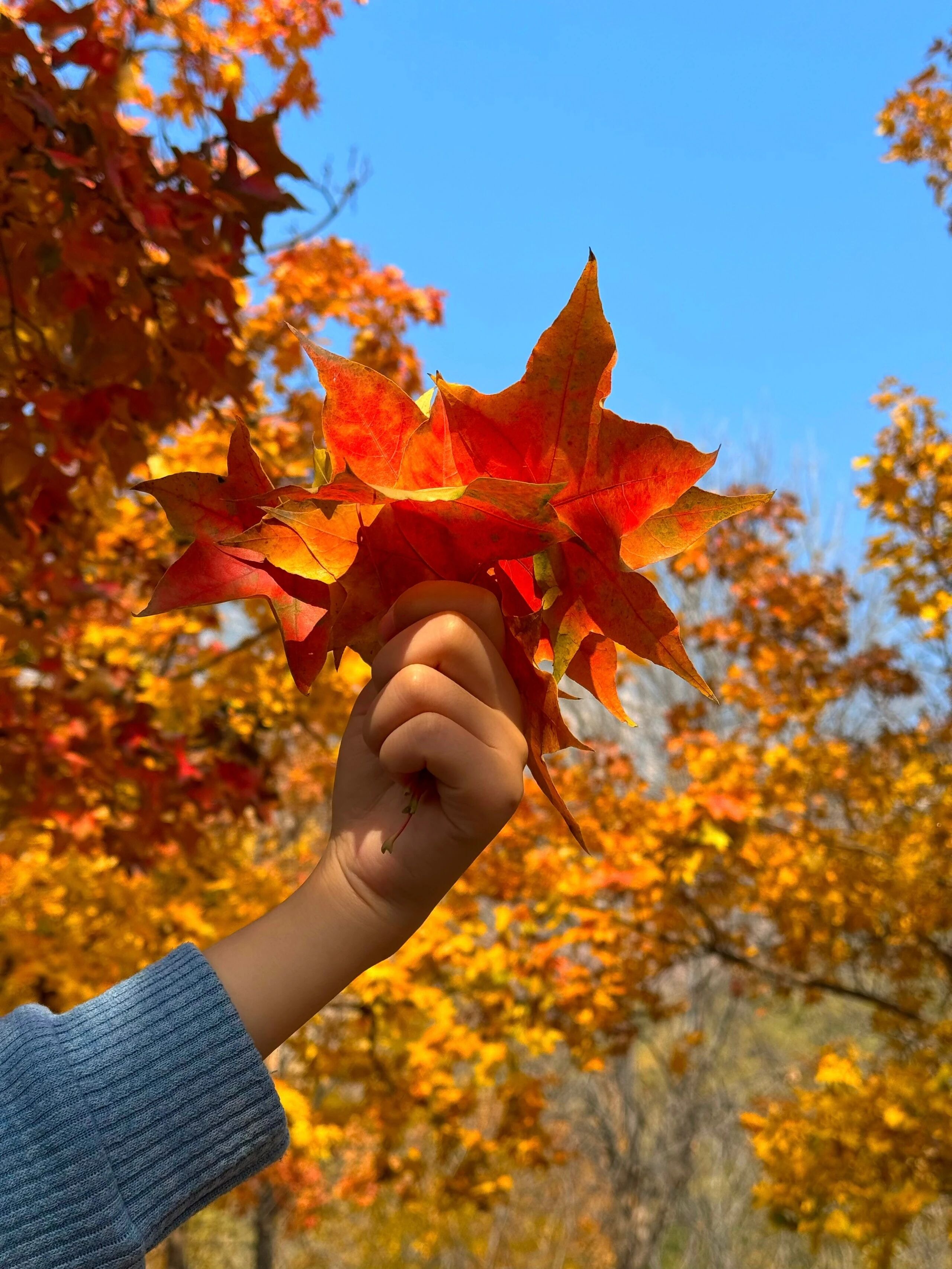 太震撼!这里的“日照金山”巨引流!