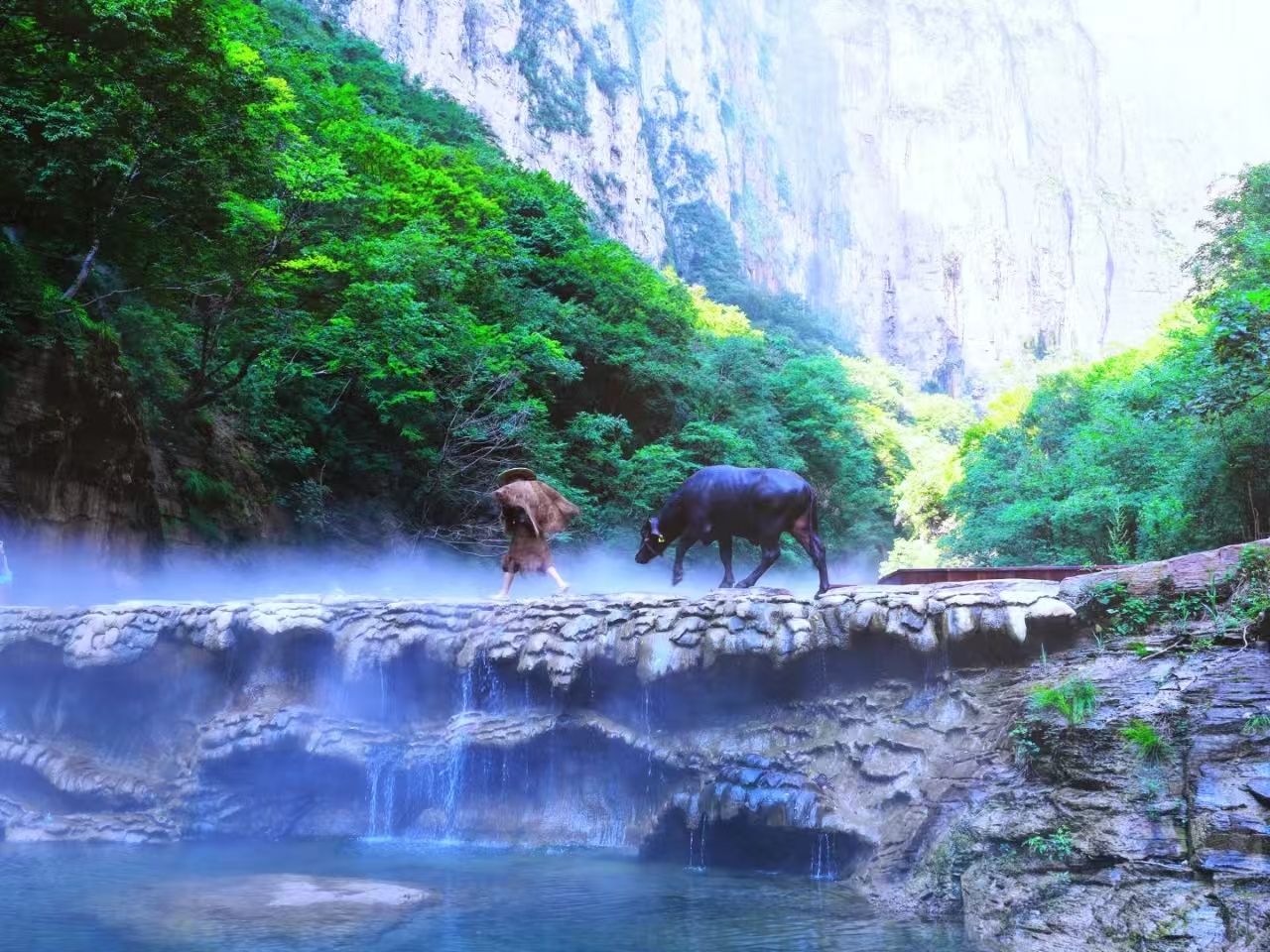 焦作入选2025年中国康养城市100强! 焦作入选2025年中国康养城市100强!