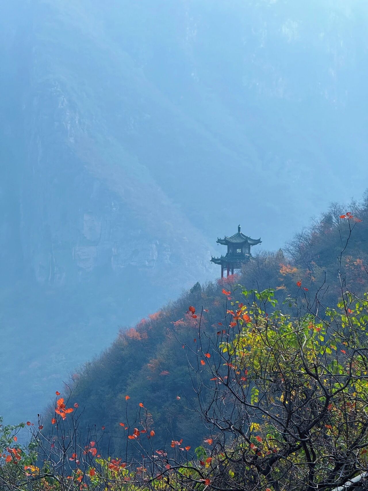 神农山“五彩斑斓”最佳期限！