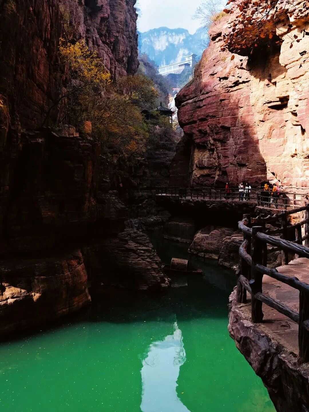 在这里，用一个季节治愈岁月的恒常！