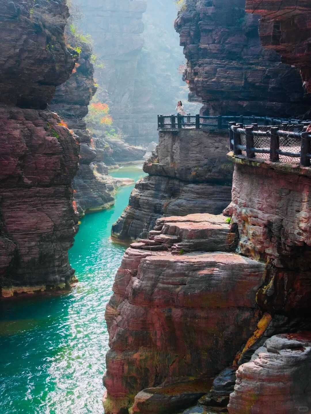 在这里，用一个季节治愈岁月的恒常！