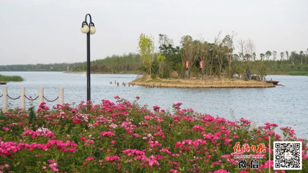 可游可憩！谁懂焦作“会客厅”的含金量！